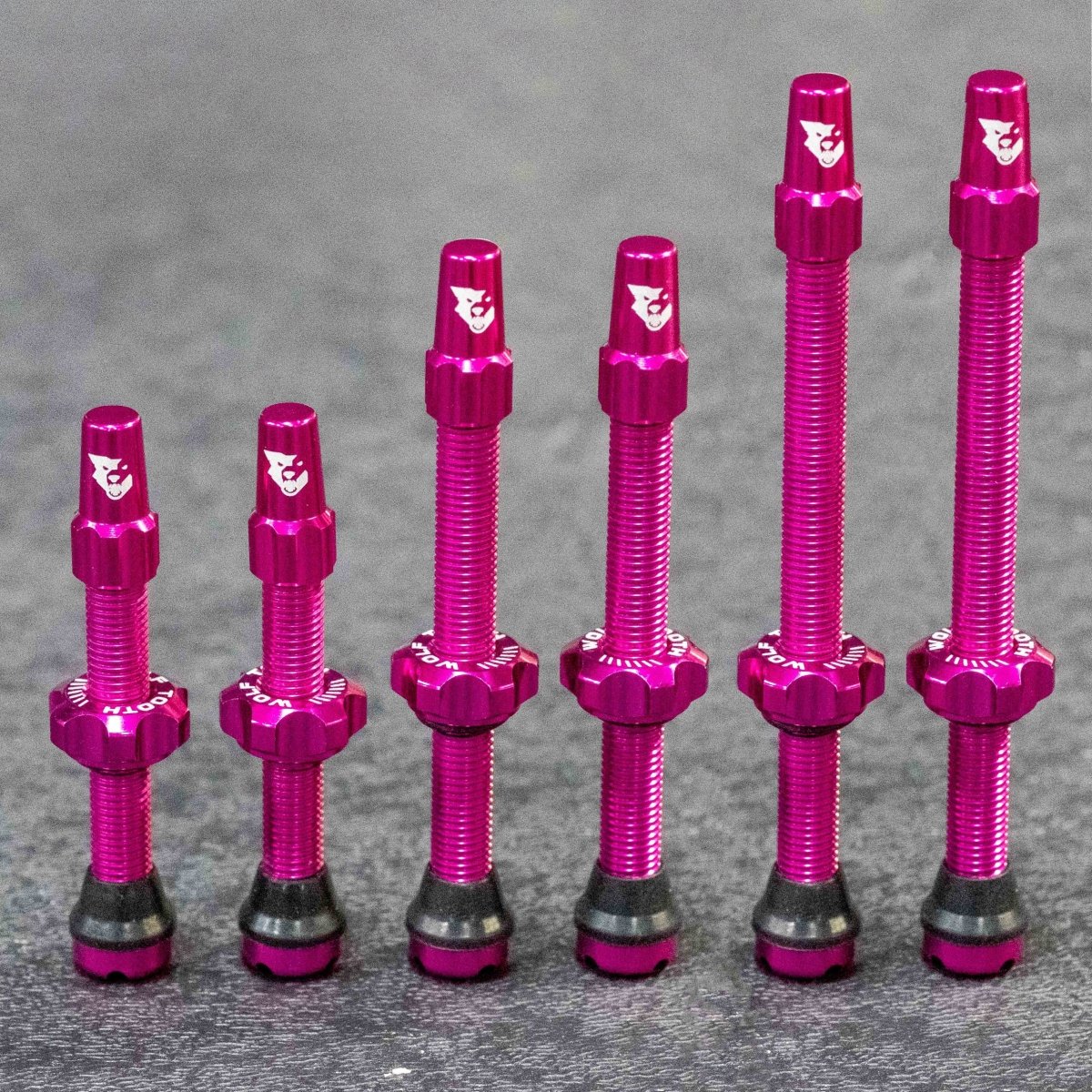Tubeless Presta Valve Stem Kit - Image 15